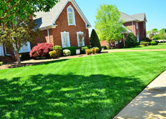 Garden Design in Warlingham
